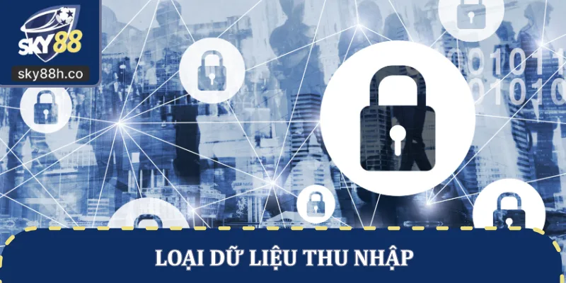 Loại dữ liệu thu nhập