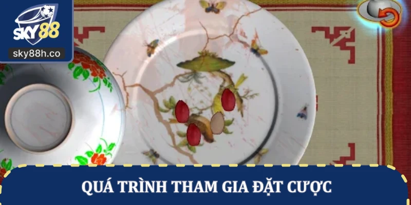 Quá trình tham gia đặt cược